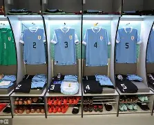 勒沃库森迎足总杯关键赛；赛前完成体检；更衣室稳定；年轻球员得到机会